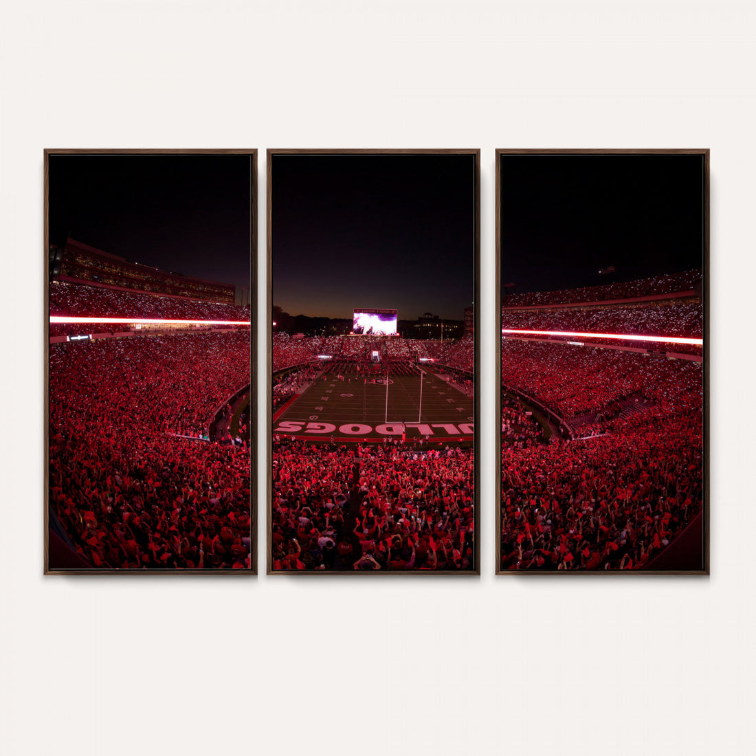 Sanford Stadium Wall Art Canvas Print, Georgia Bulldogs
