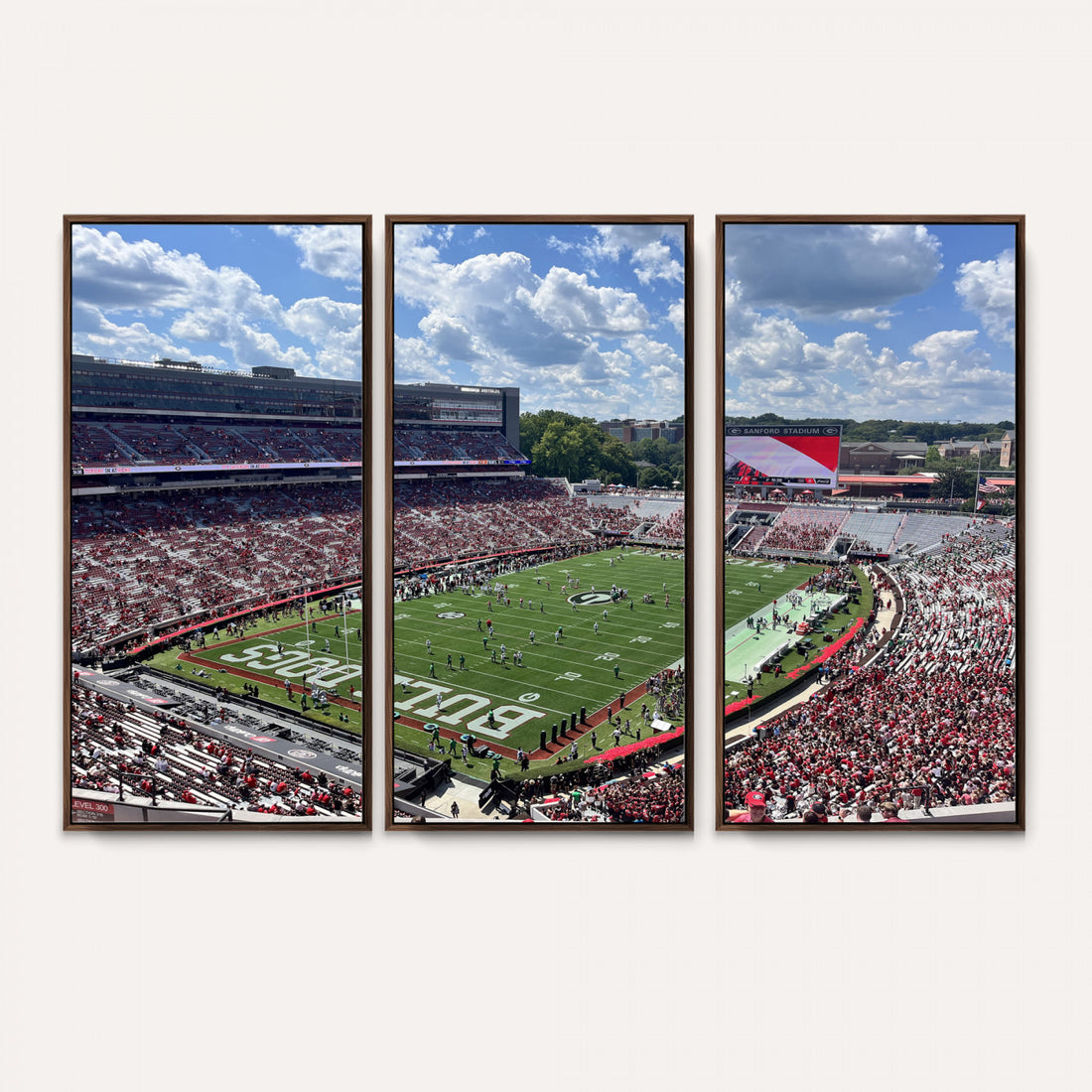 Georgia Bulldogs Stadium Wall Art Canvas Print, Sanford, Framed and Ready to Hang