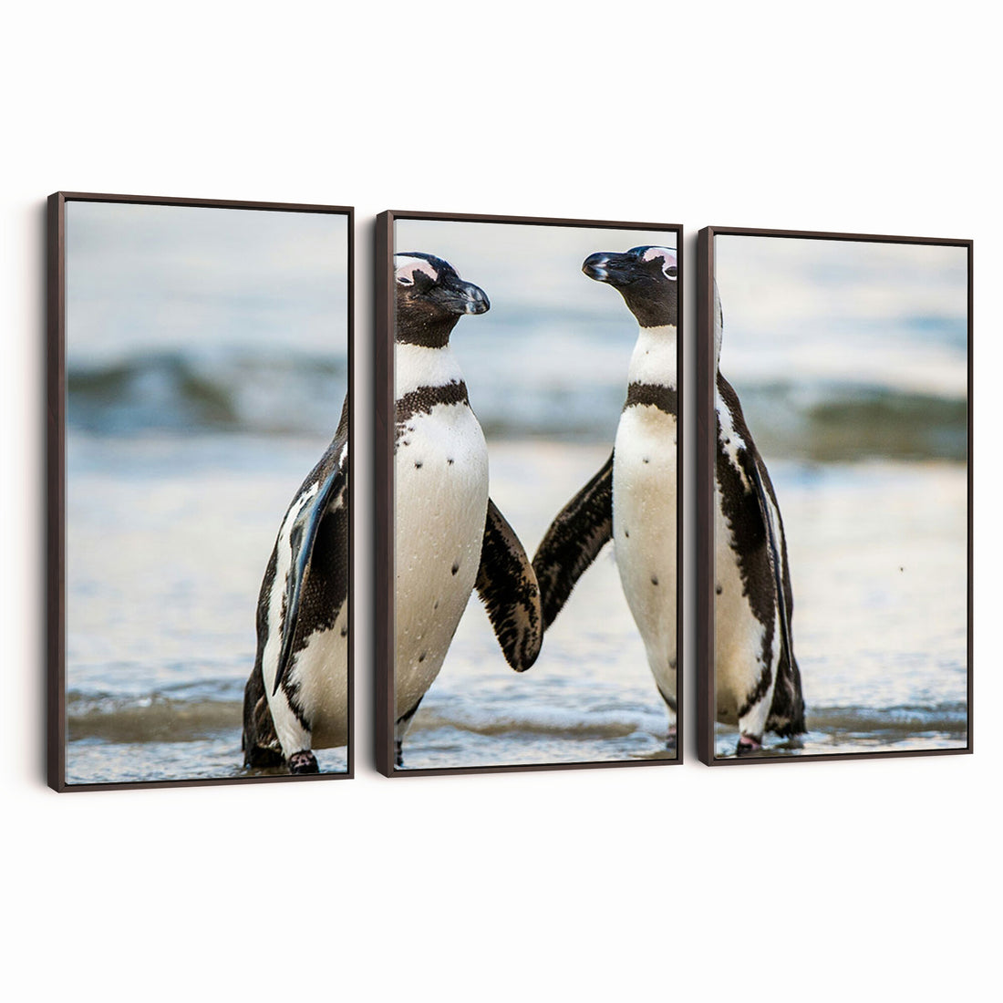 African Penguins Boulders Beach Wall Art Canvas Print, Cute Penguin Couple Photo Print