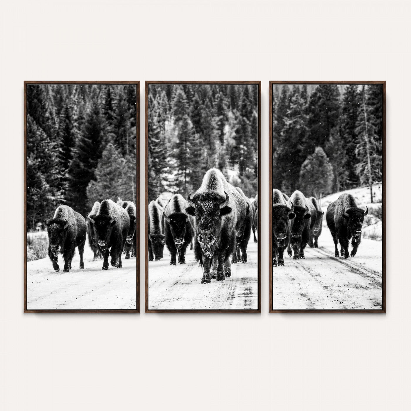 79337077-MGV-CV-36X24 - Black and White Bison Canvas Art, American Buffalo Print, Winter Wildlife Photography, Rustic Forest Wall Decor, Large Statement Nature Gift