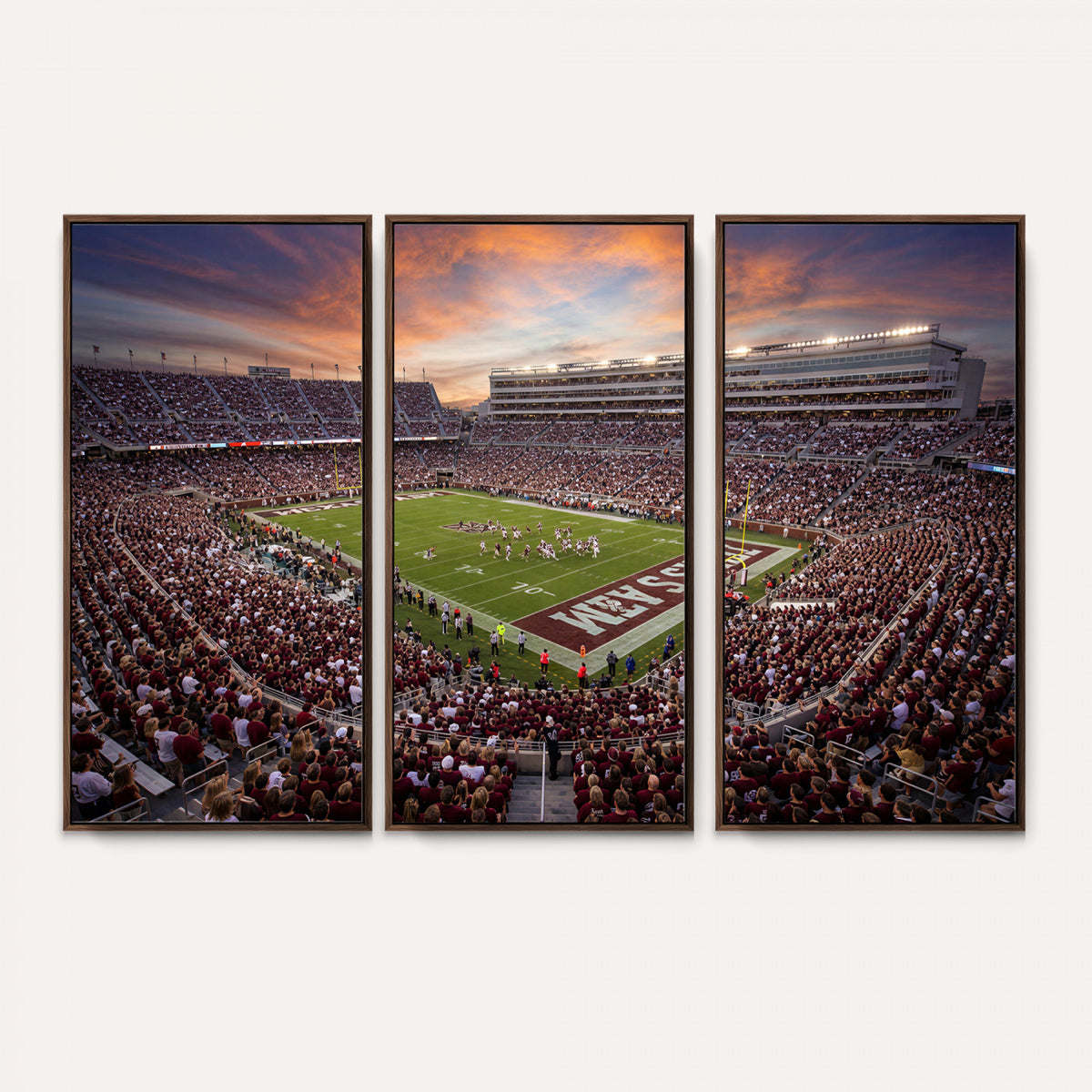 66624578-MGV-CV-36X24 - Stadium Wall Art Canvas Print