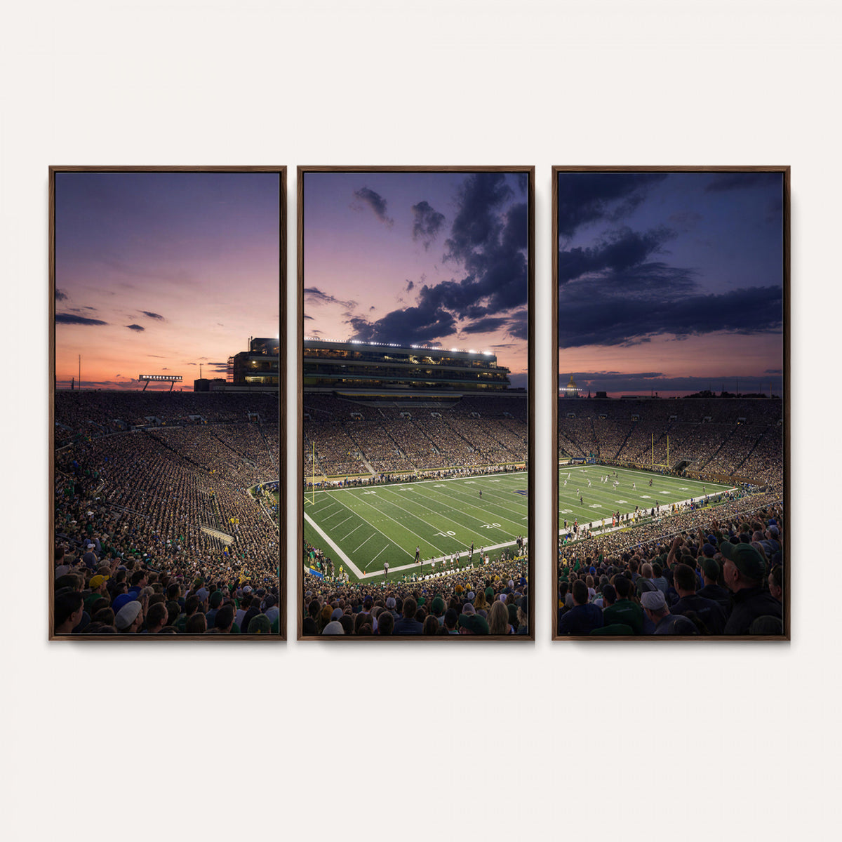 48837941-MGV-CV-36X24 - Stadium Wall Art Canvas Print