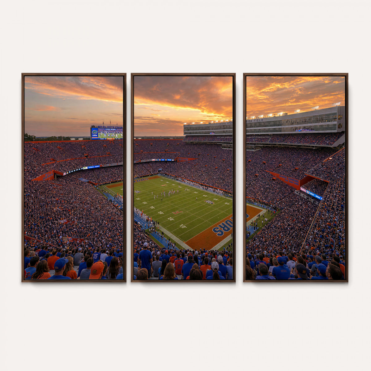48009171-MGV-CV-36X24 - Stadium Wall Art Canvas Print