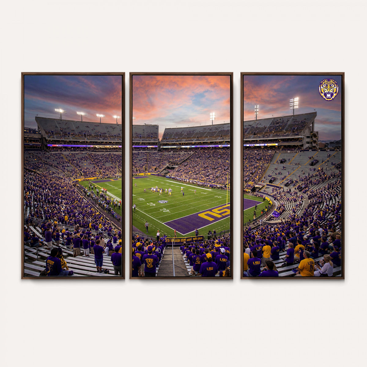 20281385-MGV-CV-36X24 - Stadium Wall Art Canvas Print