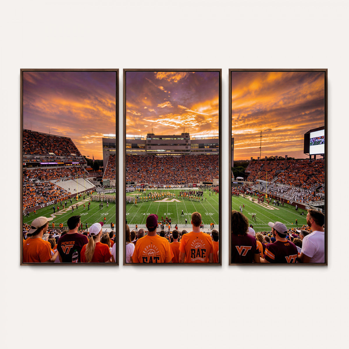 25873880-MGV-CV-36X24 - Stadium Wall Art Canvas Print