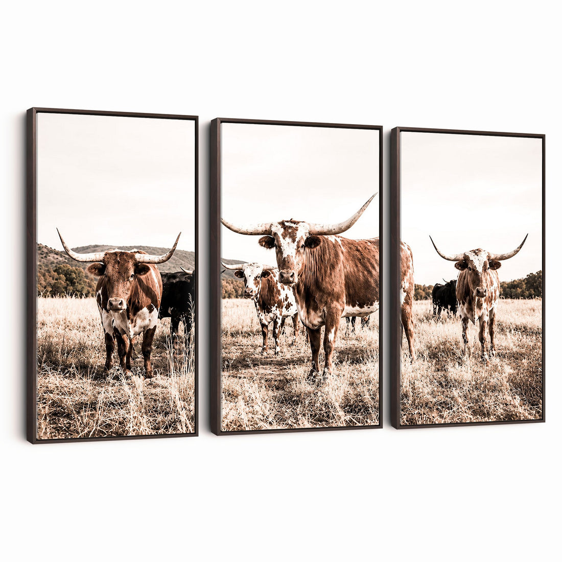 Texas Longhorn Cattle Canvas Wall Art, Western Ranch Home Decor