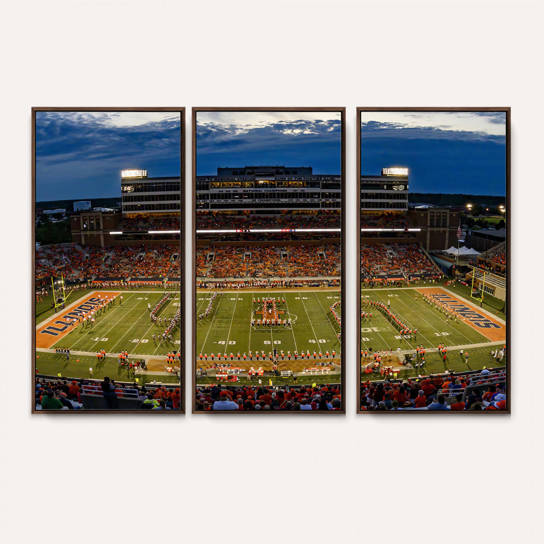 University of Illinois Fighting Illini Football Team Print
