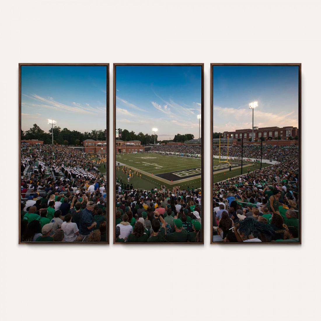 University of Charlotte 49ers Football Team Print