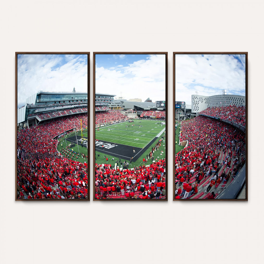 Cincinnati Bearcats Football Team Print, Nippert Stadium Wall Art