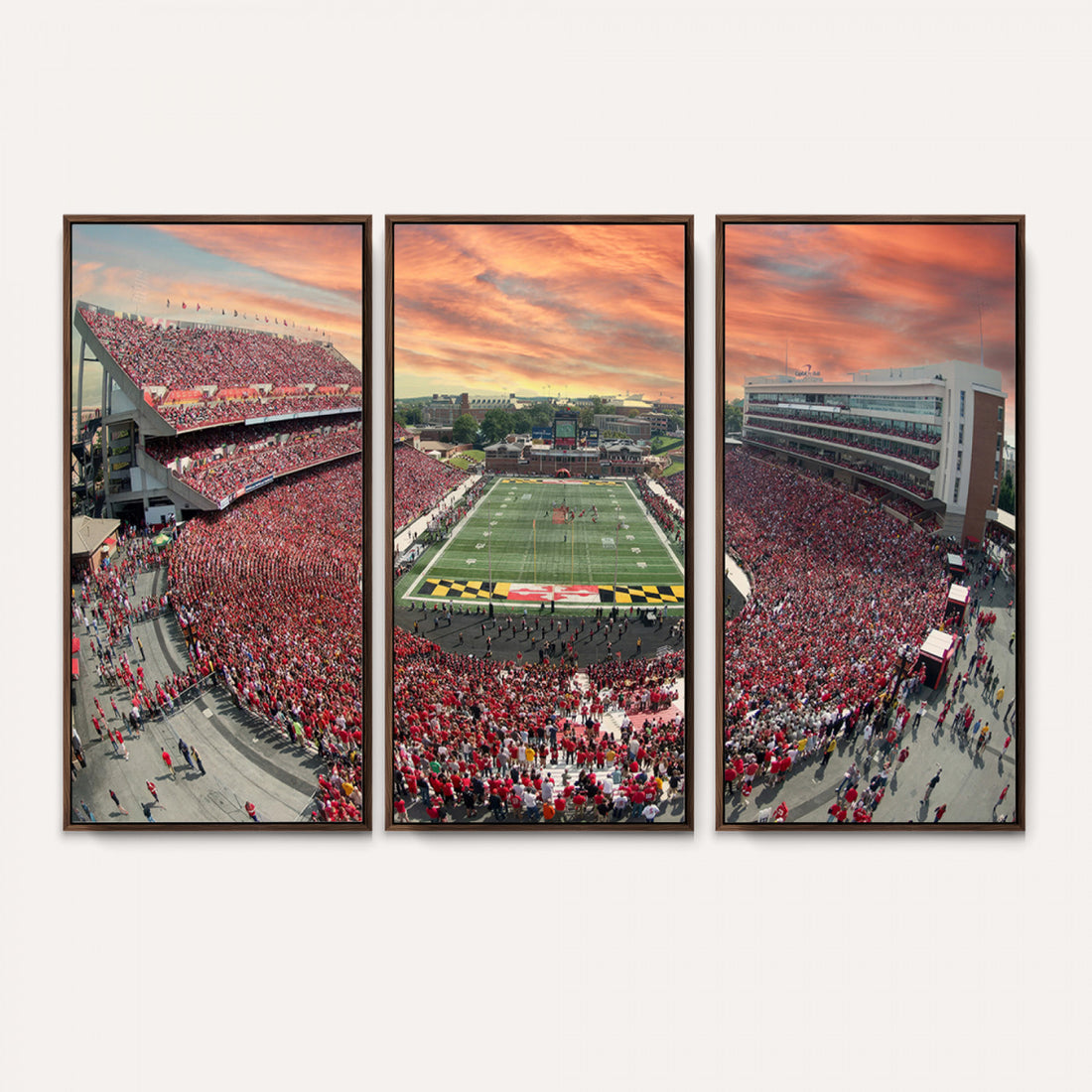 University of Maryland Terrapins Football Team Print, Framed and Ready to Hang