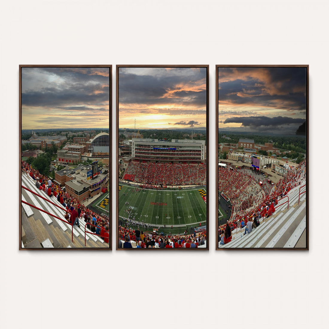 University of Maryland Terrapins Football Team Print