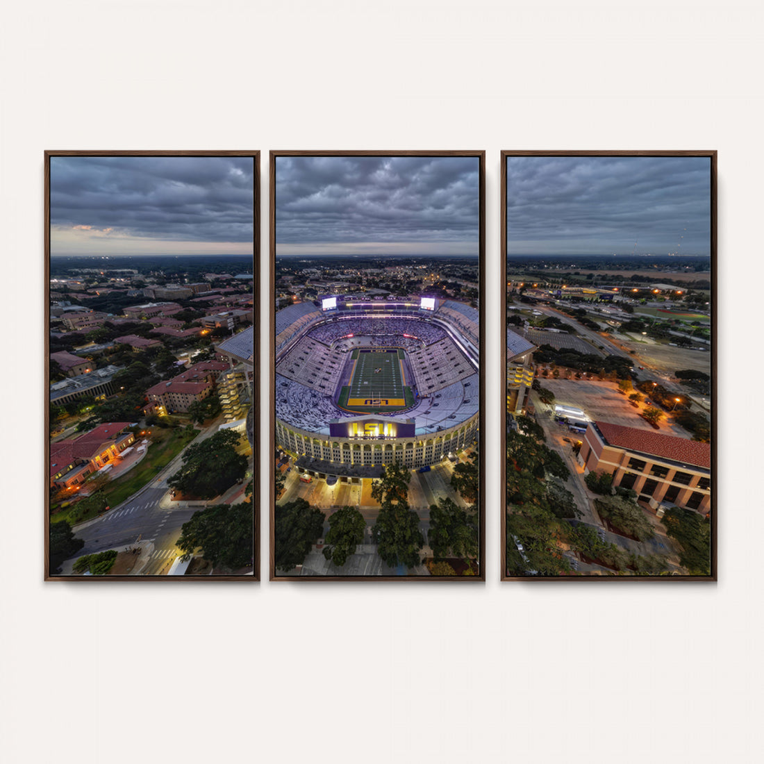 The Louisiana State University Tigers Football Team Print