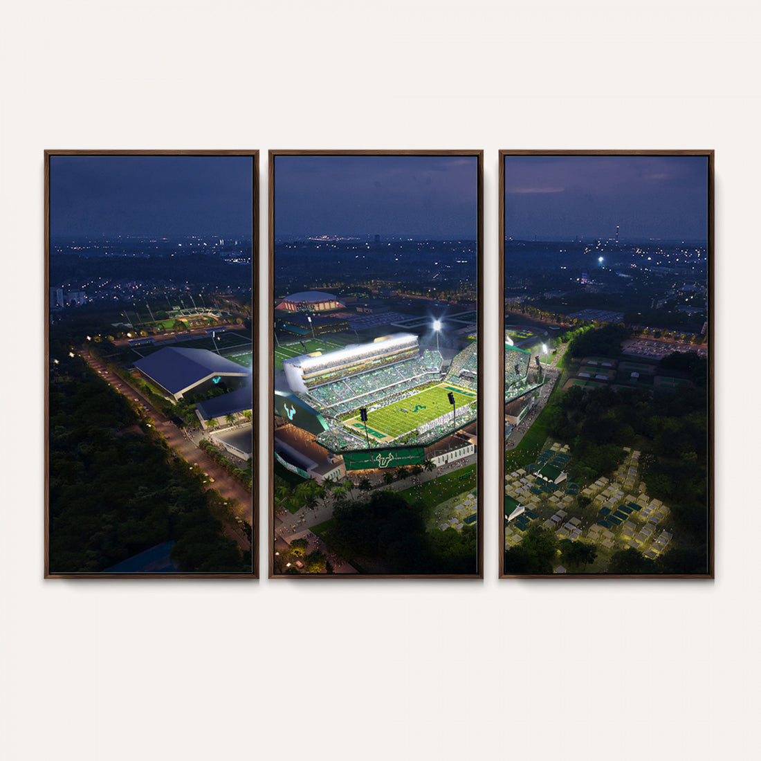 The University of South Florida Bulls Football Team Print