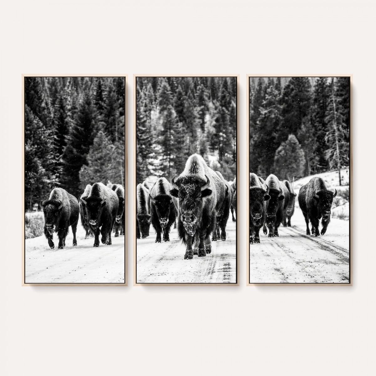 79337077-MGV-CV-36X24 - Black and White Bison Canvas Art, American Buffalo Print, Winter Wildlife Photography, Rustic Forest Wall Decor, Large Statement Nature Gift