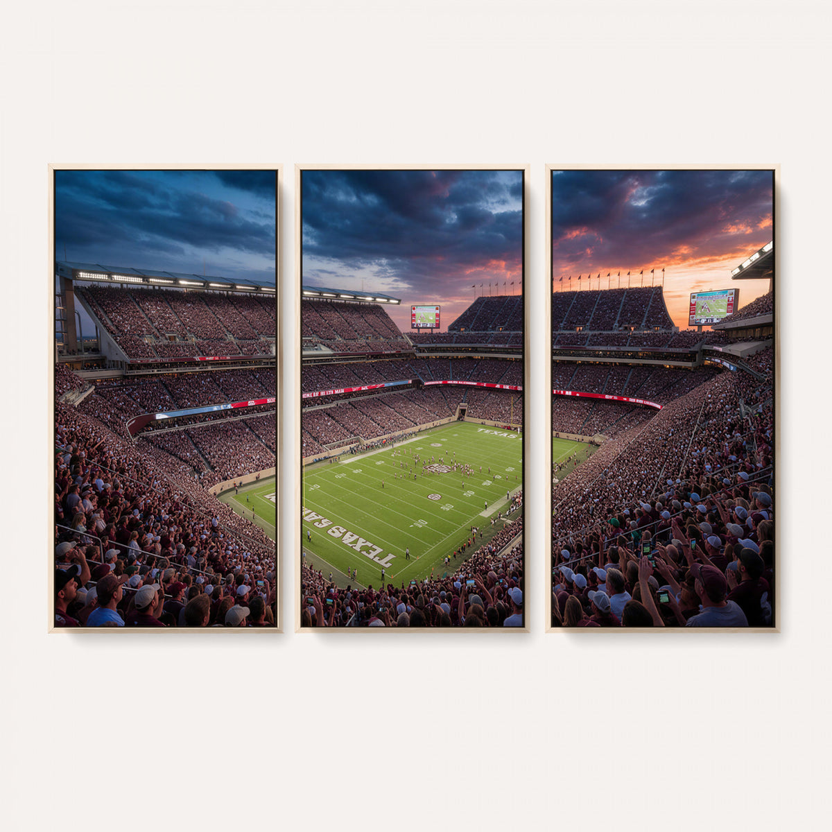 55475837-MGV-CV-36X24 - Stadium Wall Art Canvas Print