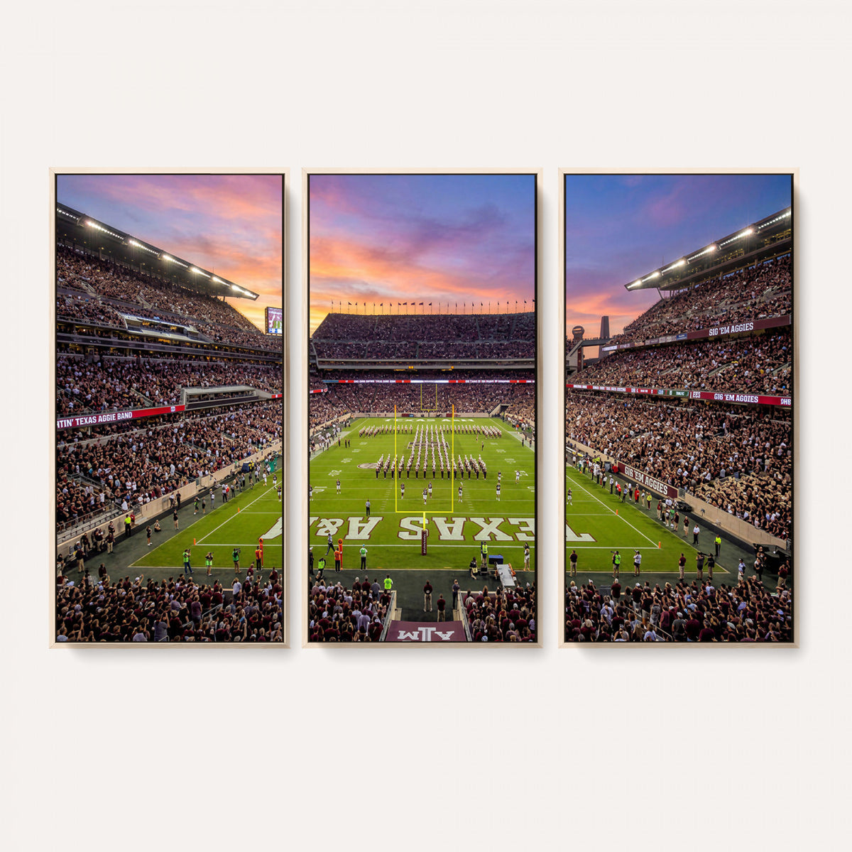 65952219-MGV-CV-36X24 - Stadium Wall Art Canvas Print