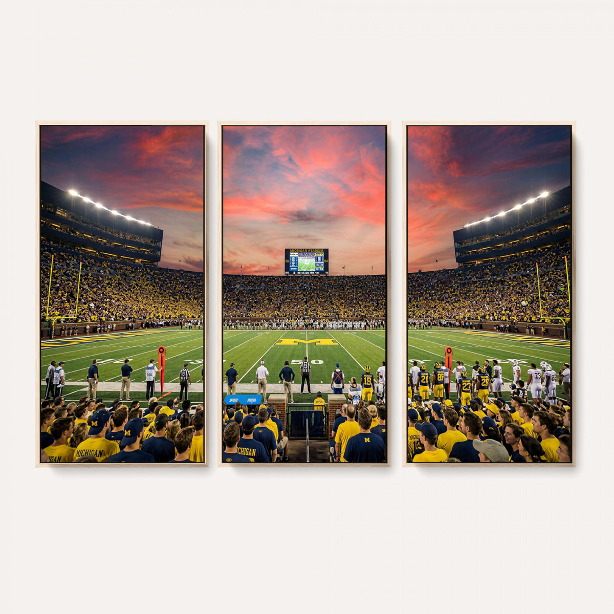 47185949-MGV-CV-36X24 - Stadium Wall Art Canvas Print