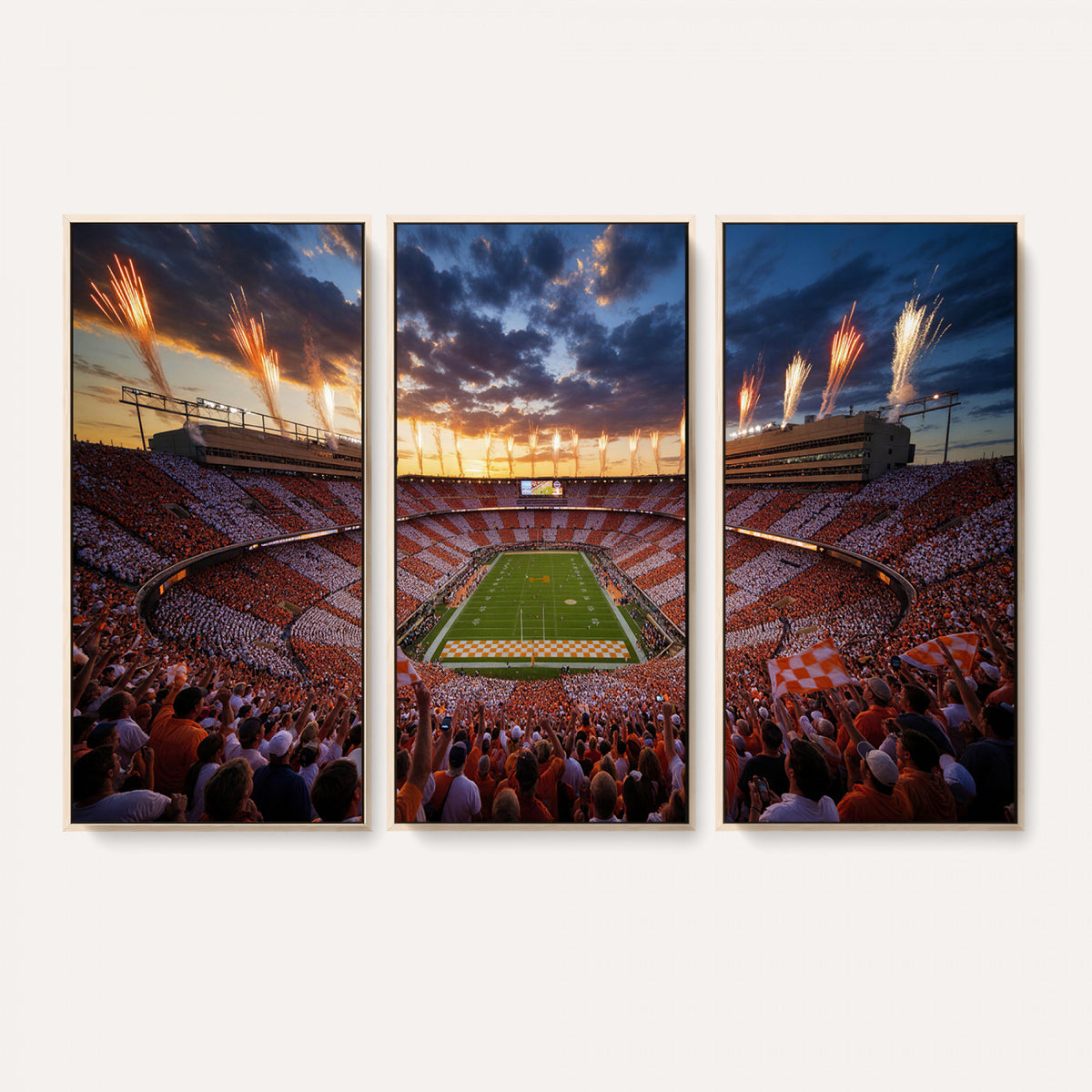 29672818-MGV-CV-36X24 - Stadium Wall Art Canvas Print