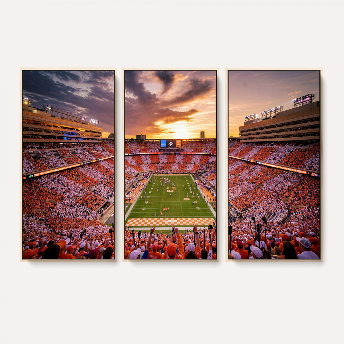 68184875-MGV-CV-36X24 - Stadium Wall Art Canvas Print
