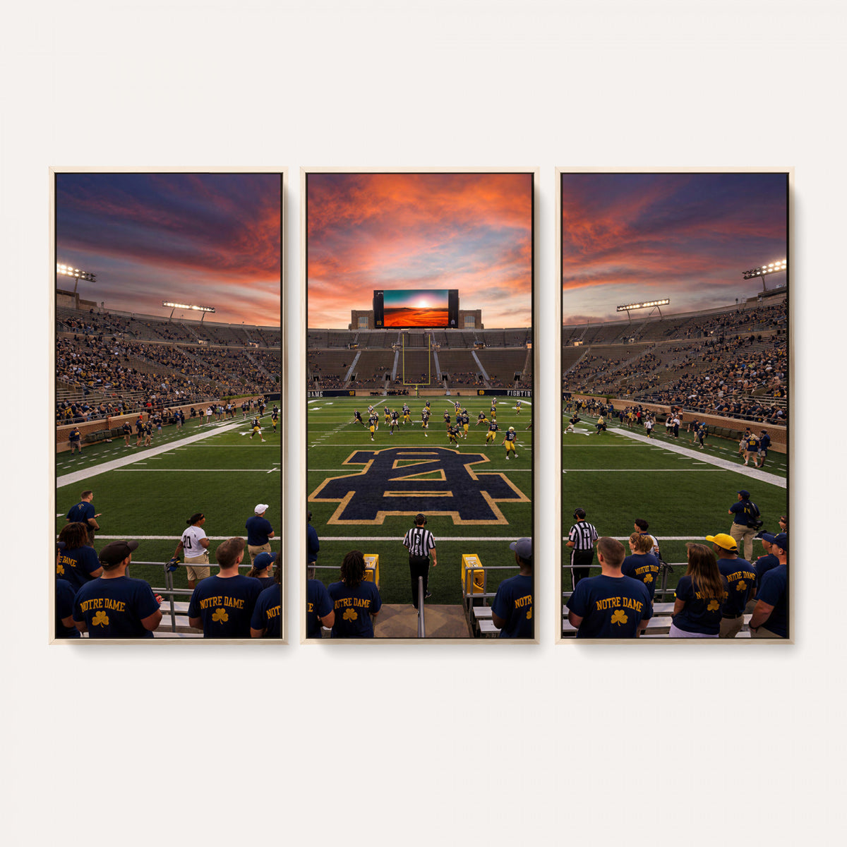 75411323-MGV-CV-36X24 - Stadium Wall Art Canvas Print