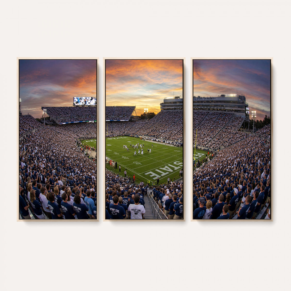 29008668-MGV-CV-36X24 - Stadium Wall Art Canvas Print