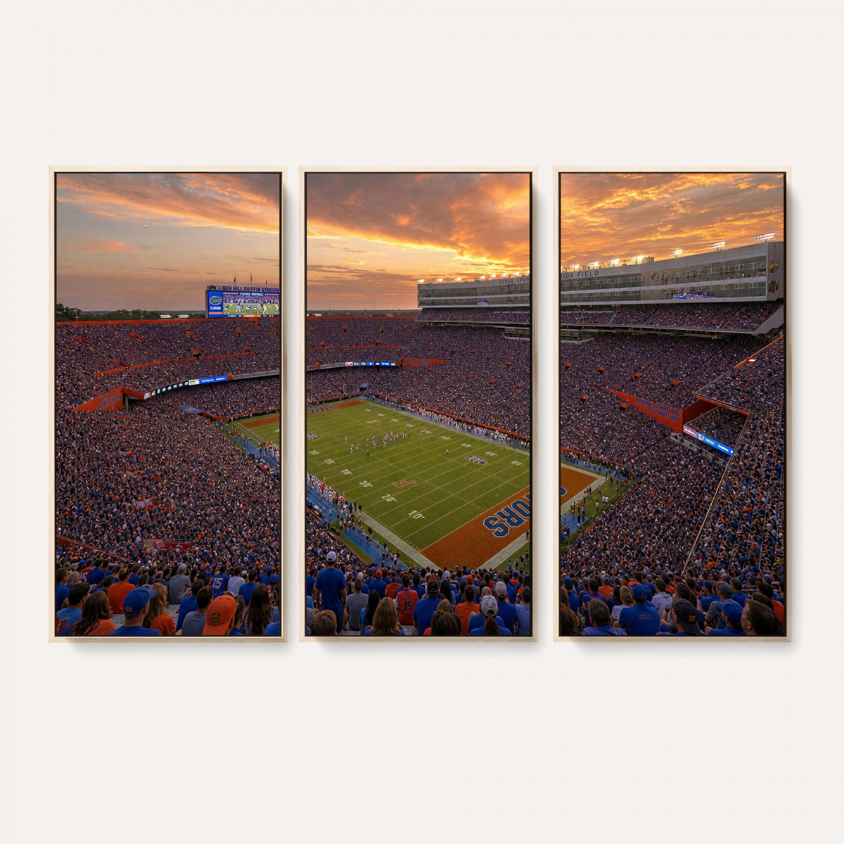 48009171-MGV-CV-36X24 - Stadium Wall Art Canvas Print
