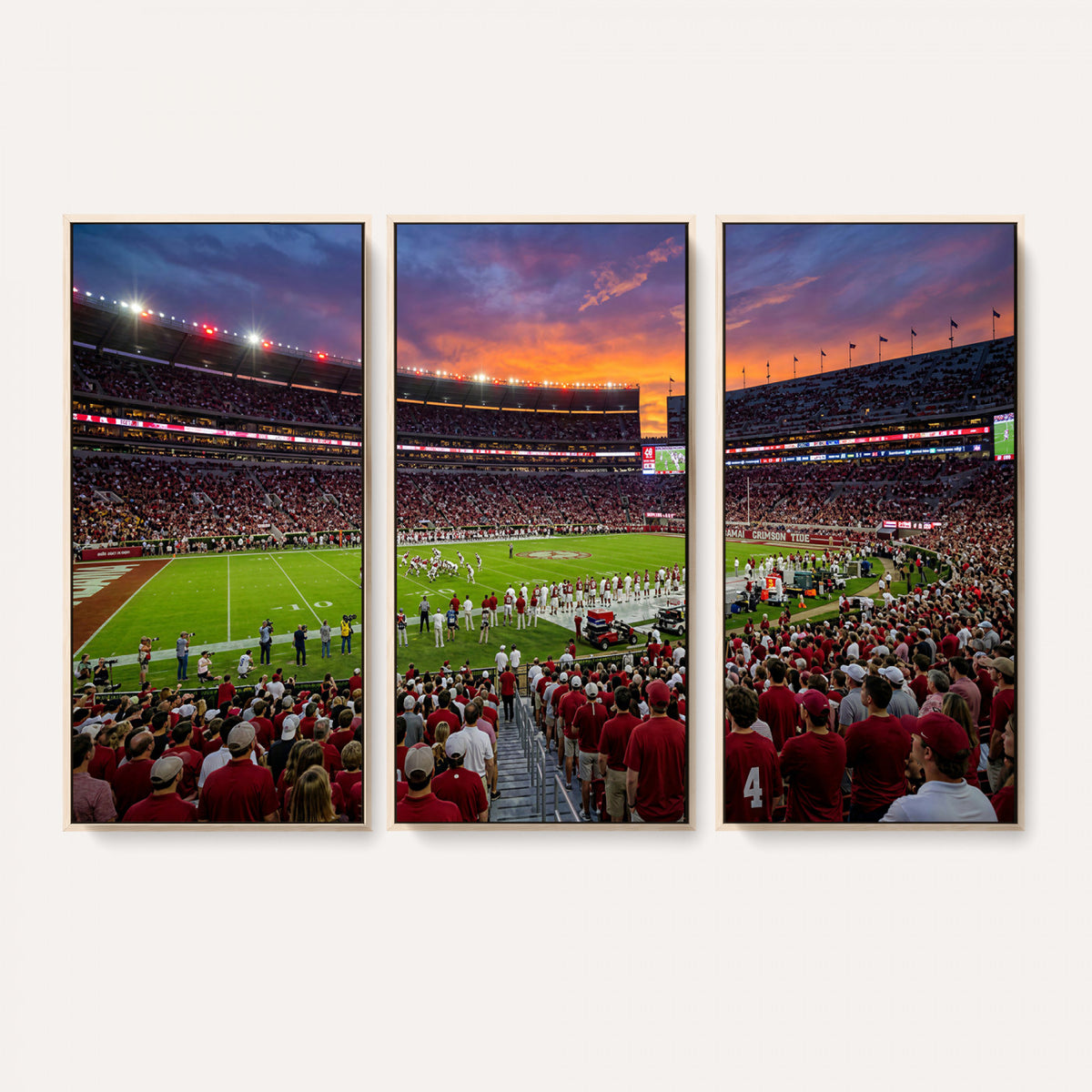 47822048-MGV-CV-36X24 - Stadium Wall Art Canvas Print