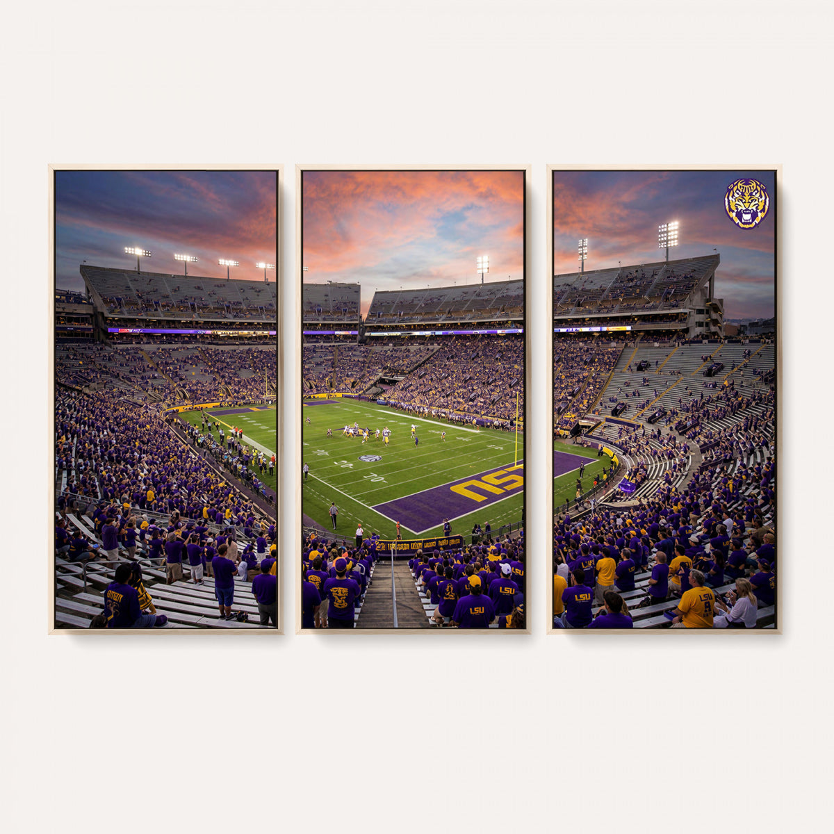 20281385-MGV-CV-36X24 - Stadium Wall Art Canvas Print