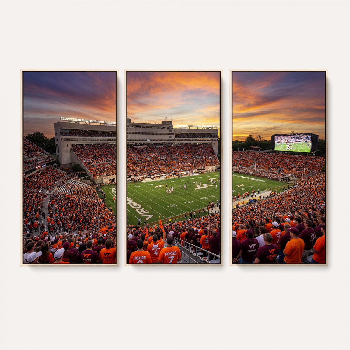 23178259-MGV-CV-36X24 - Stadium Wall Art Canvas Print