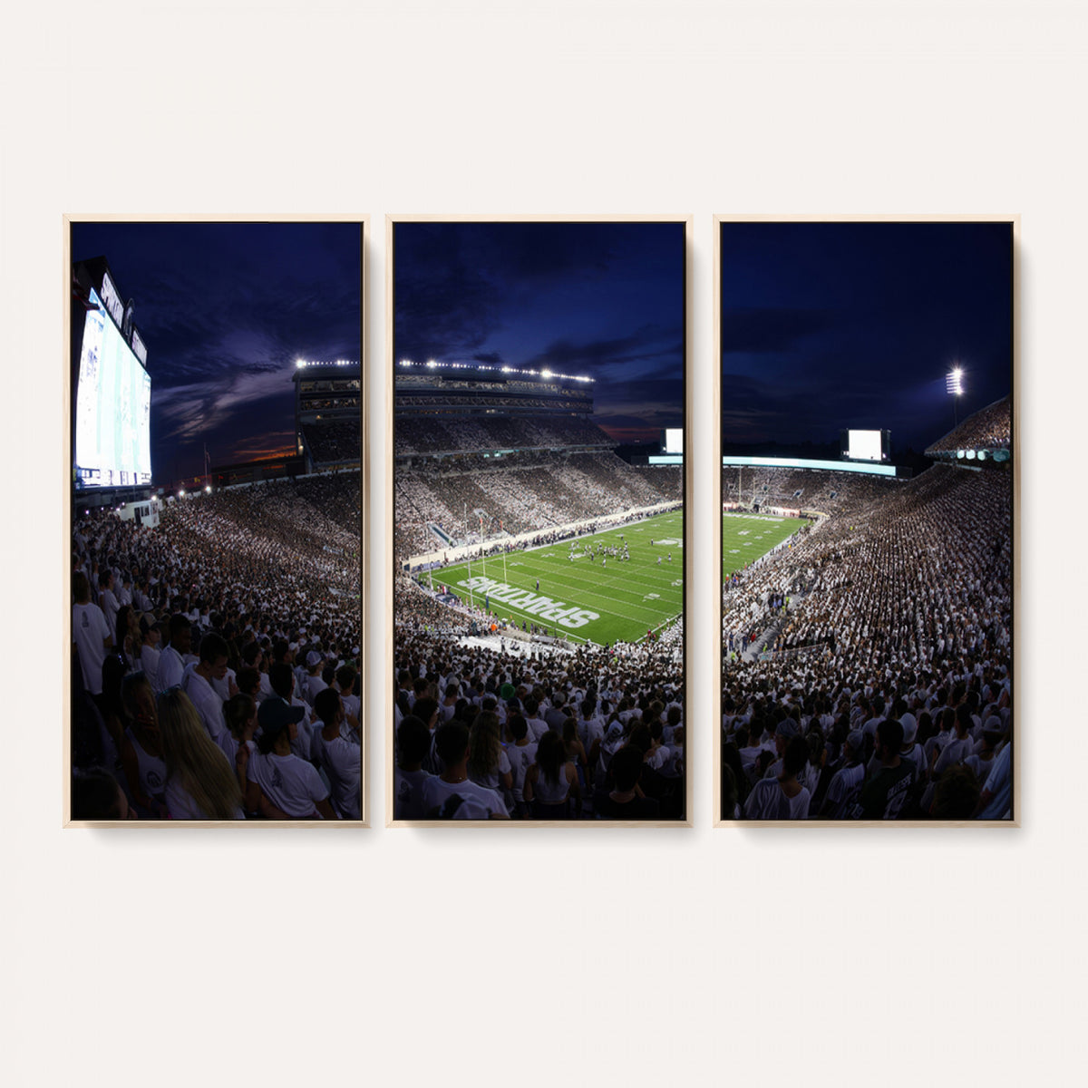 75193-PAN-FL-20X10 - Michigan State Spartans Canvas, Framed Football Team Print - East Lansing Spartan Stadium Wall Art