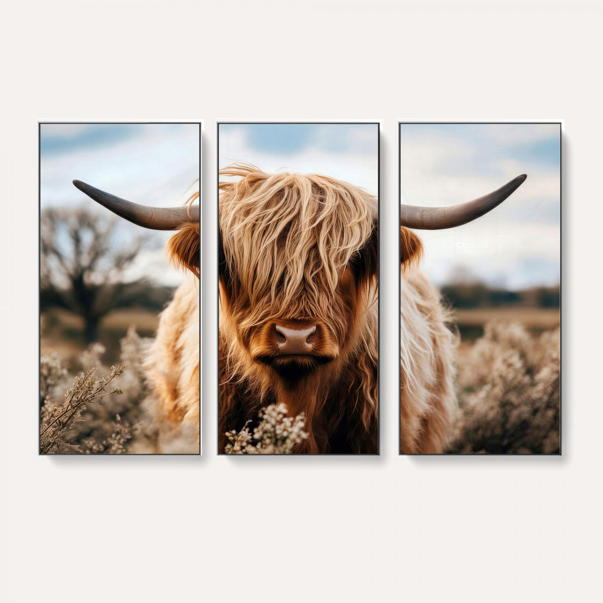 55903-_Poster-30x20 - Scottish Cow Longhorn Wall Art Canvas Print