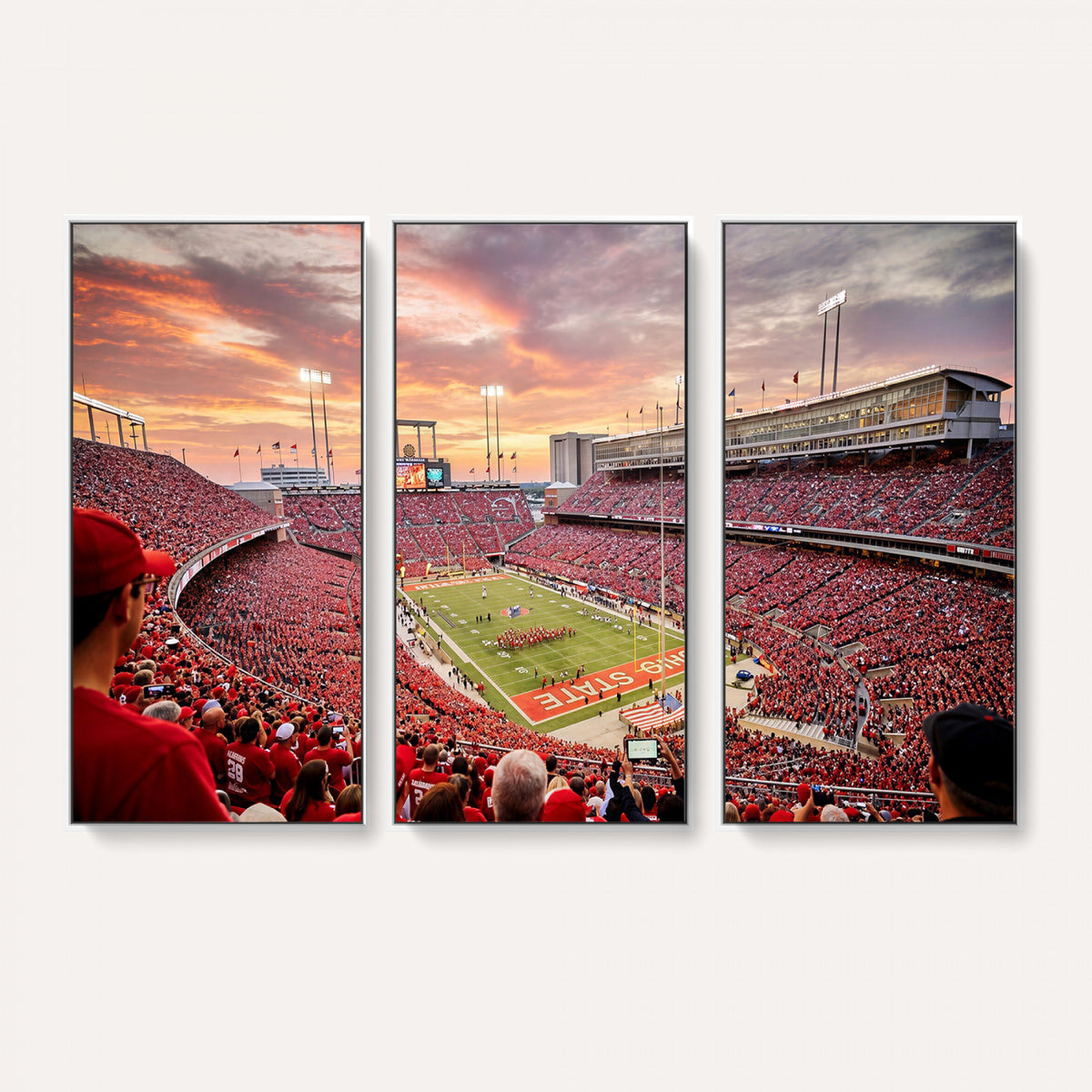 94754966-MGV-CV-36X24 - Stadium Wall Art Canvas Print