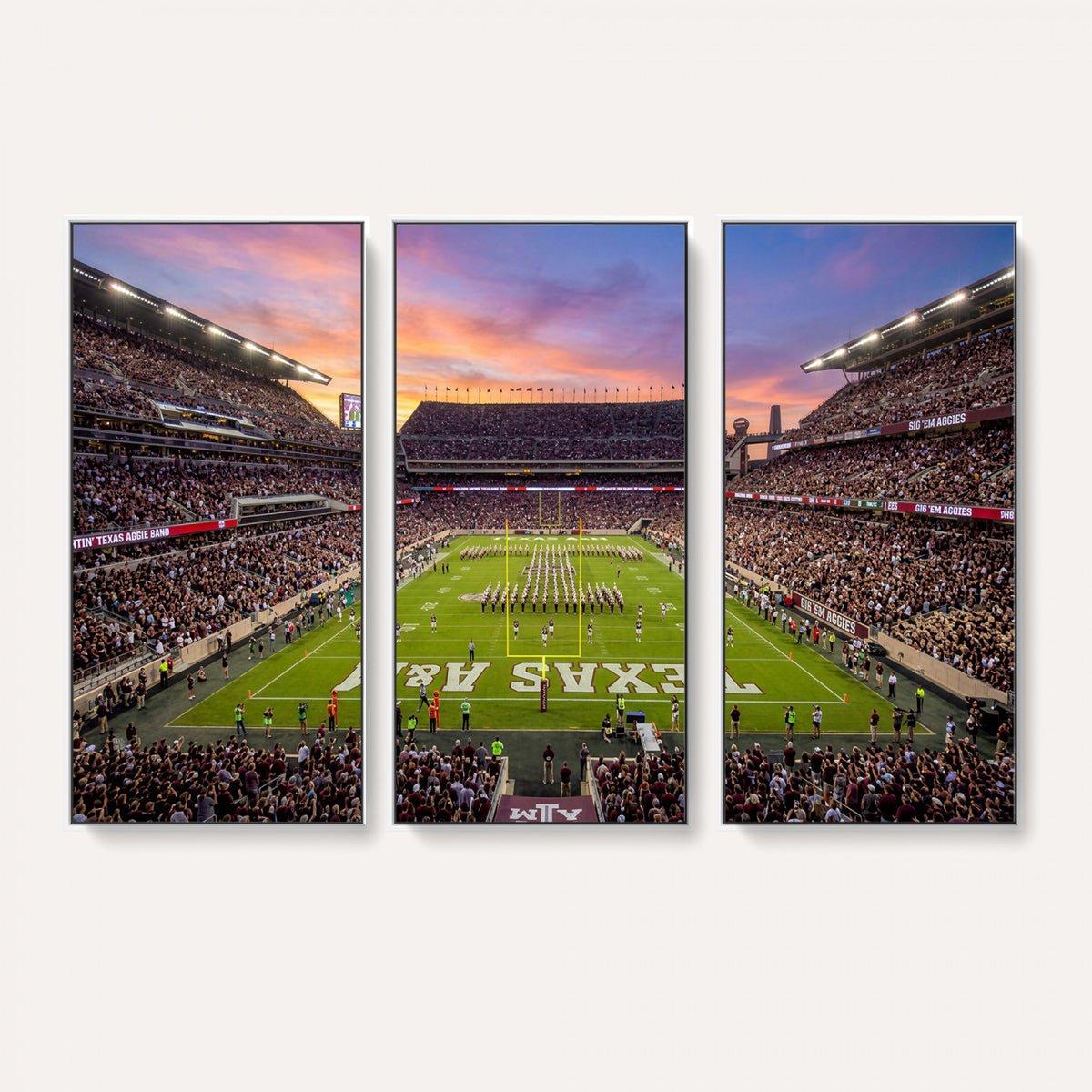 65952219-MGV-CV-36X24 - Stadium Wall Art Canvas Print