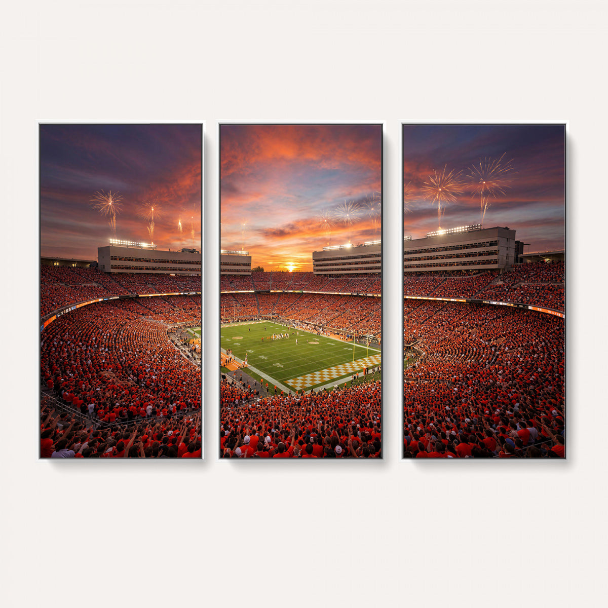 66964685-MGV-CV-36X24 - Stadium Wall Art Canvas Print