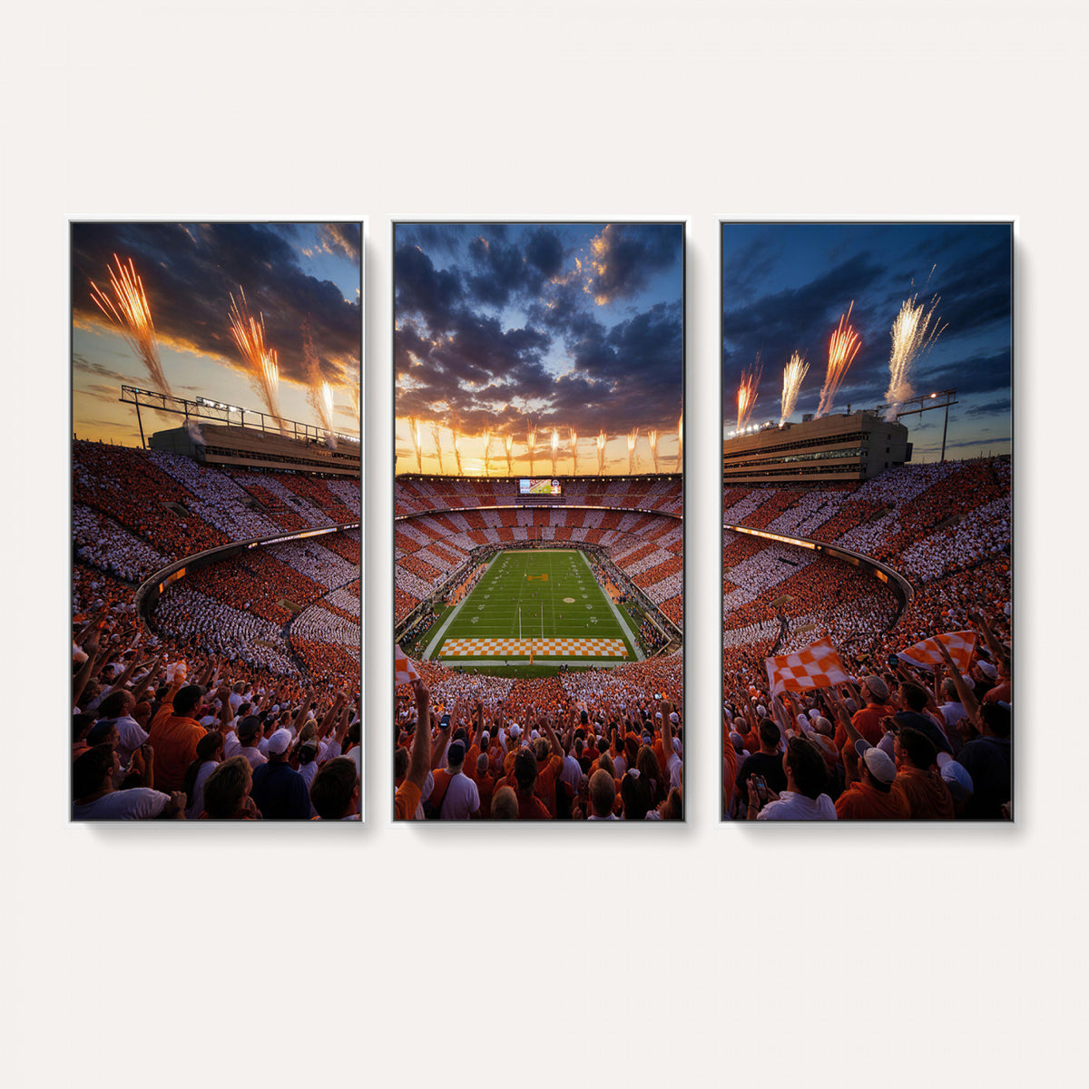 29672818-MGV-CV-36X24 - Stadium Wall Art Canvas Print