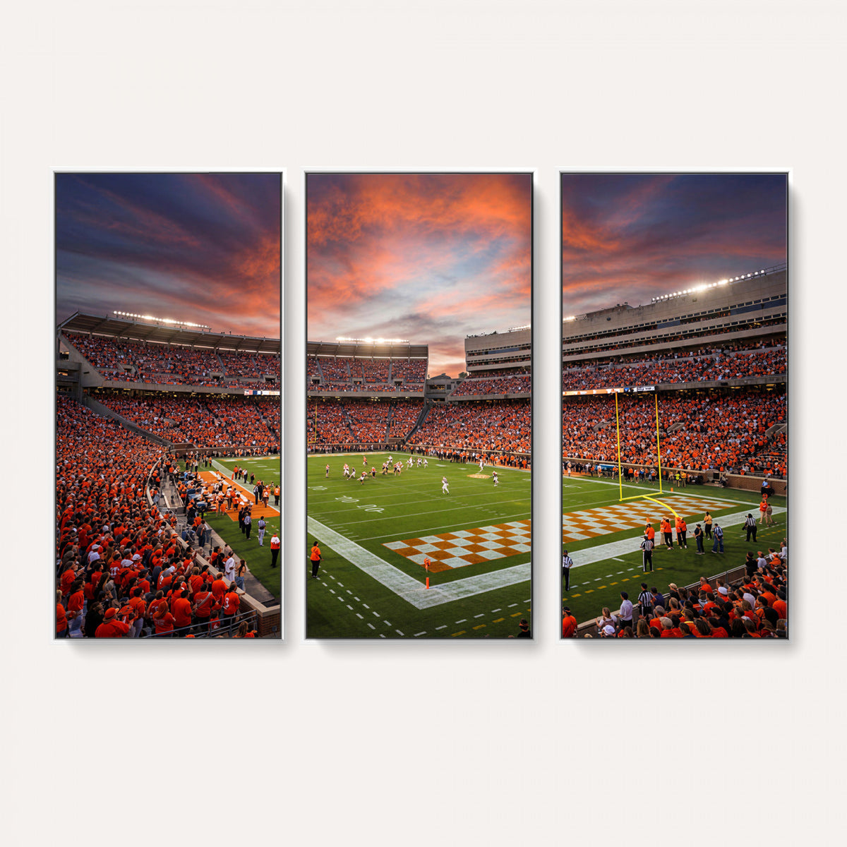 67648335-MGV-CV-36X24 - Stadium Wall Art Canvas Print
