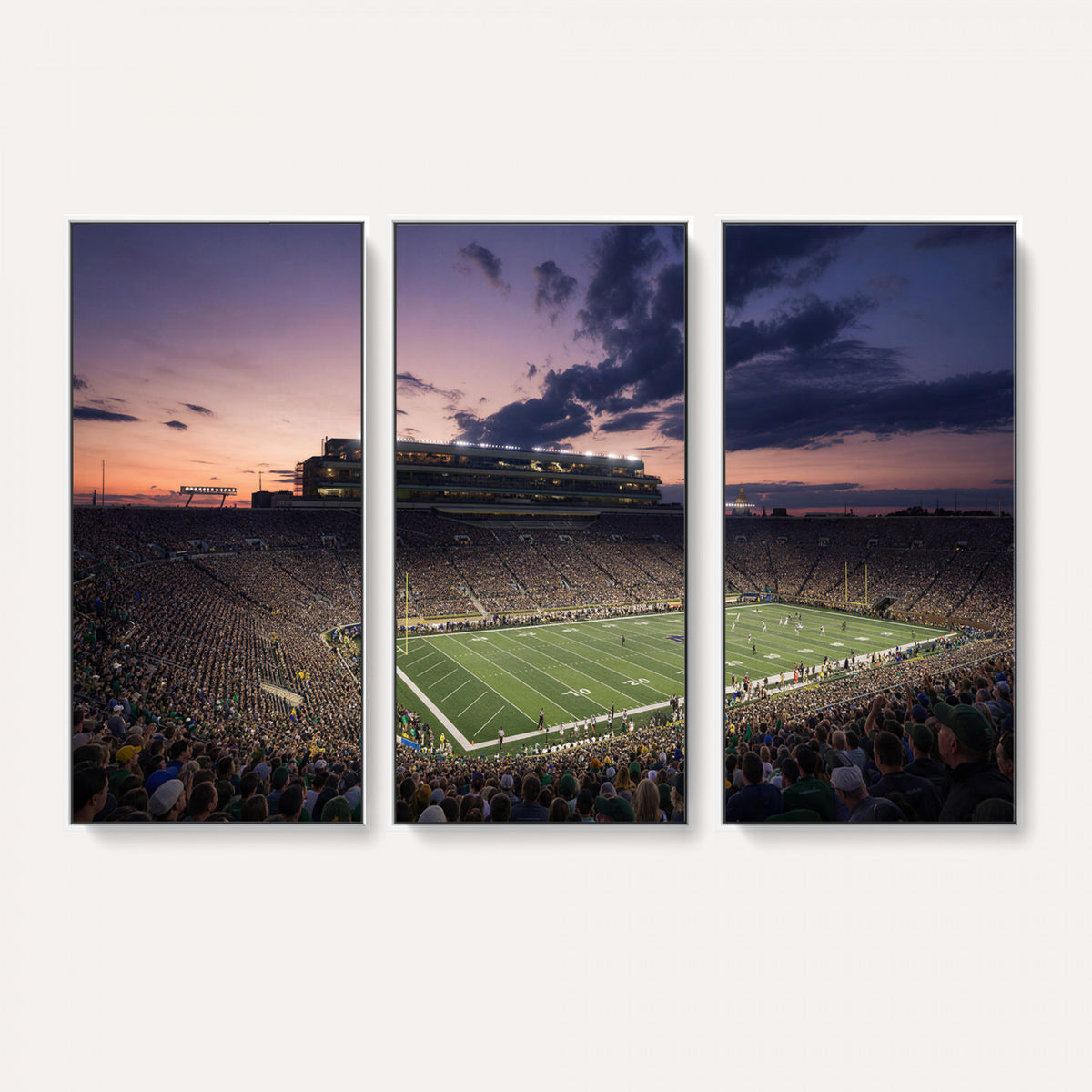 48837941-MGV-CV-36X24 - Stadium Wall Art Canvas Print