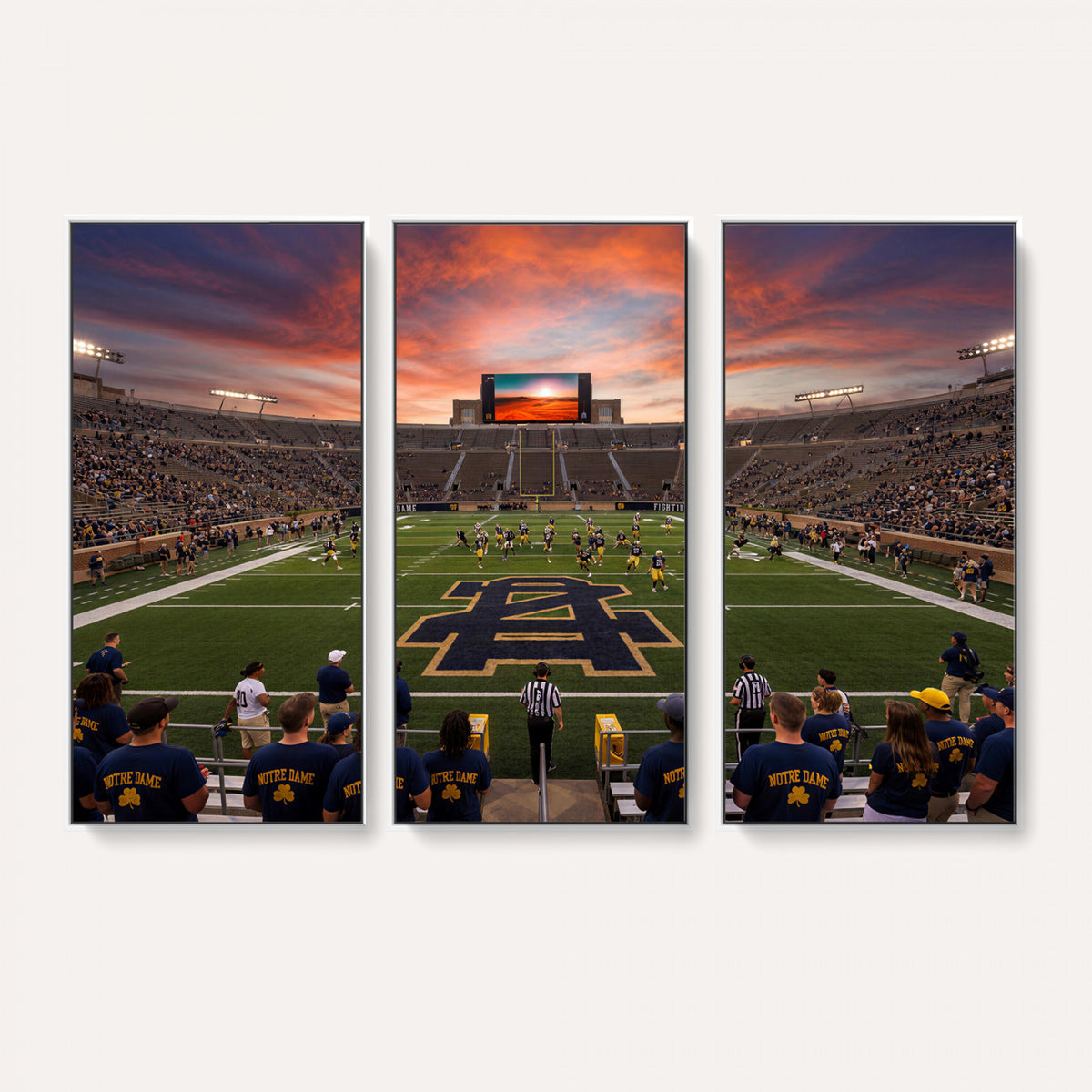 75411323-MGV-CV-36X24 - Stadium Wall Art Canvas Print