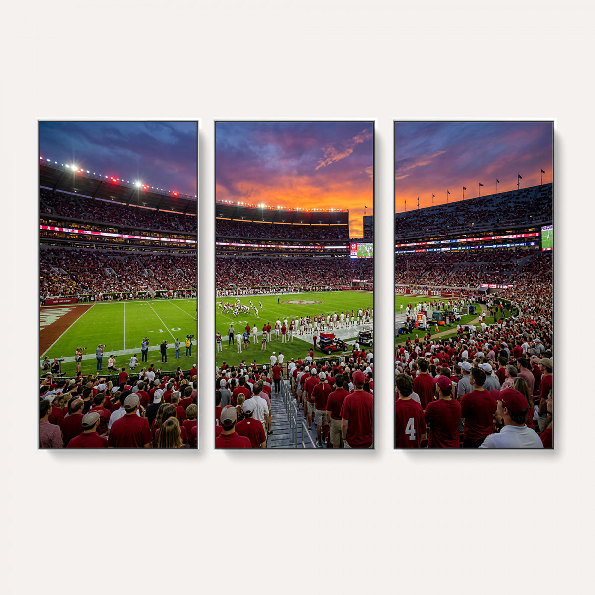 47822048-MGV-CV-36X24 - Stadium Wall Art Canvas Print