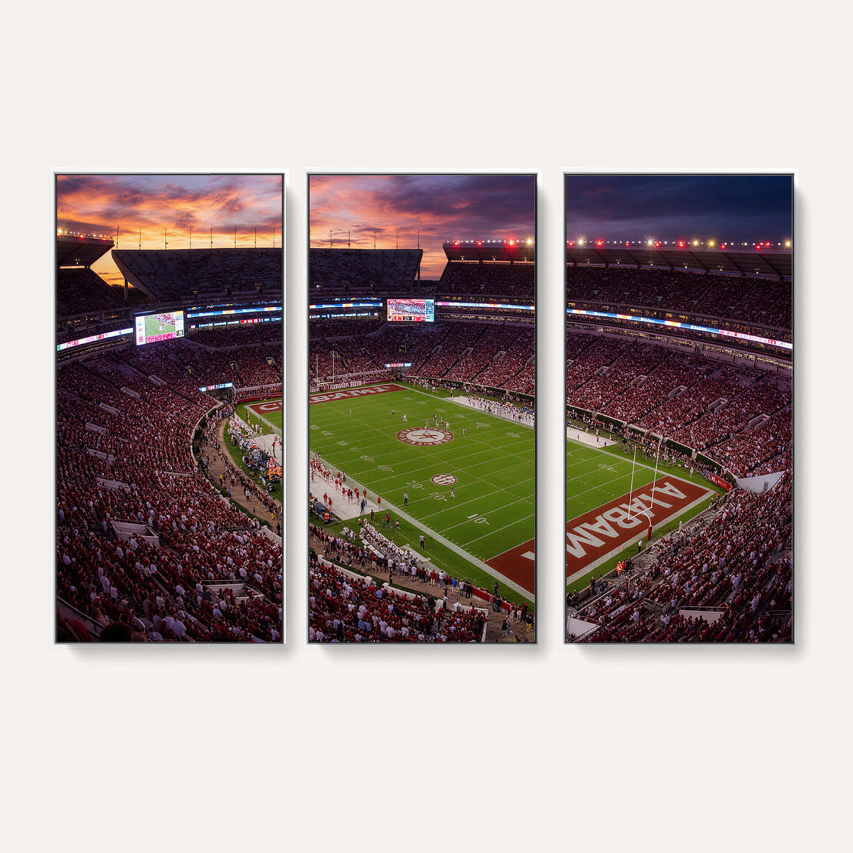 59537492-MGV-CV-36X24 - Stadium Wall Art Canvas Print
