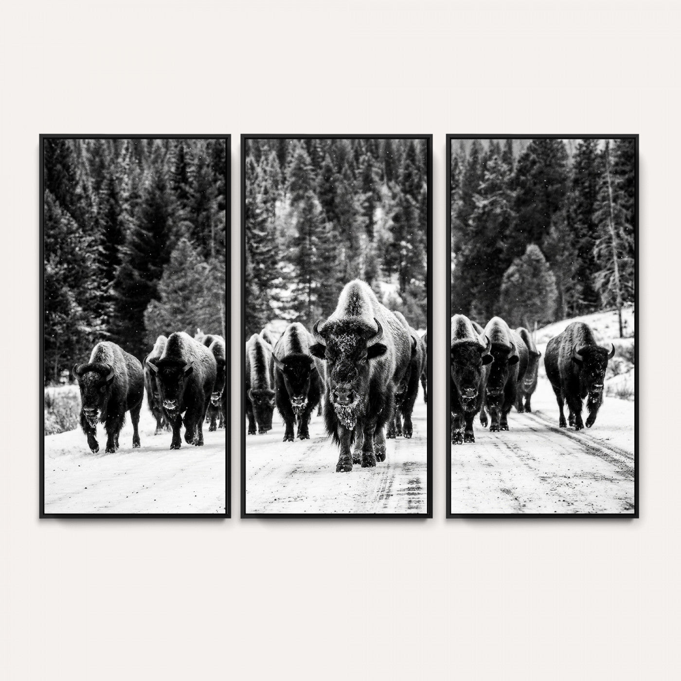 79337077-MGV-CV-36X24 - Black and White Bison Canvas Art, American Buffalo Print, Winter Wildlife Photography, Rustic Forest Wall Decor, Large Statement Nature Gift