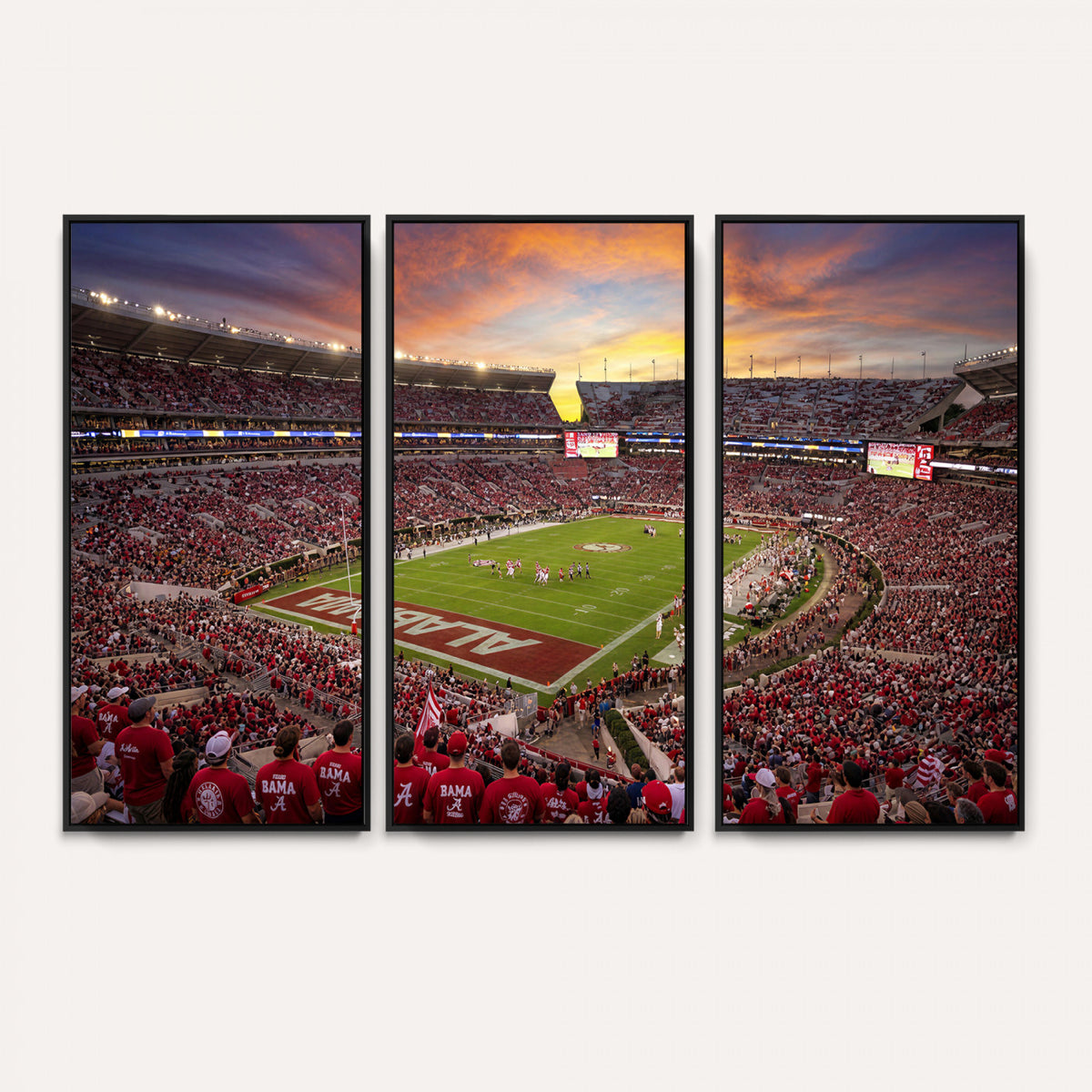 41995919-MGV-CV-36X24 - Stadium Wall Art Canvas Print