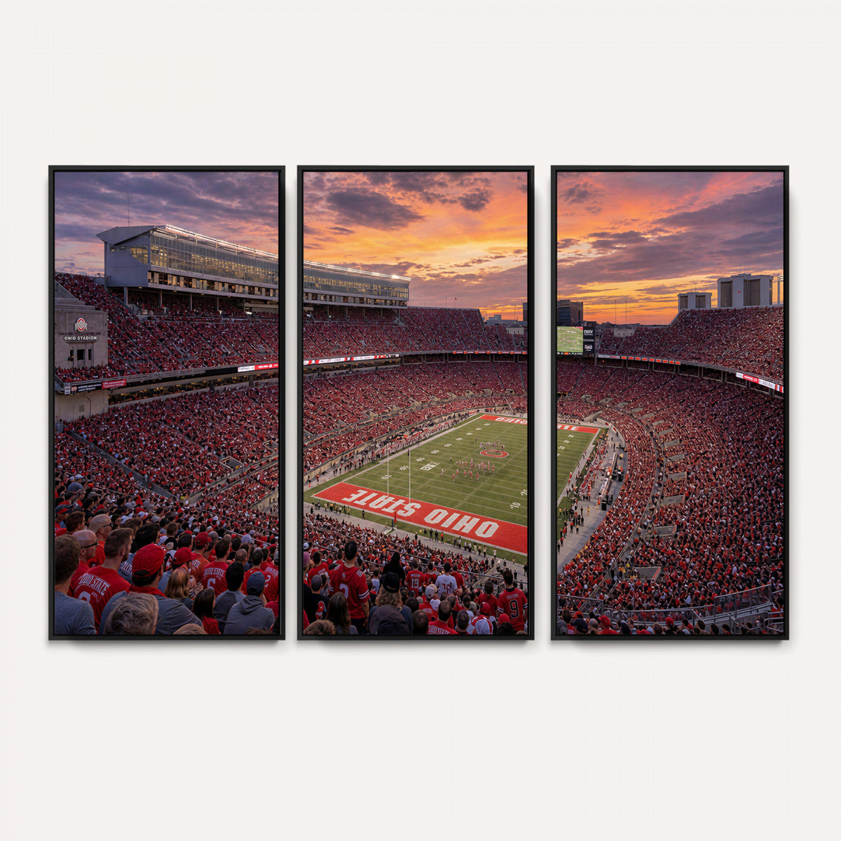 95137596-MGV-CV-36X24 - Stadium Wall Art Canvas Print