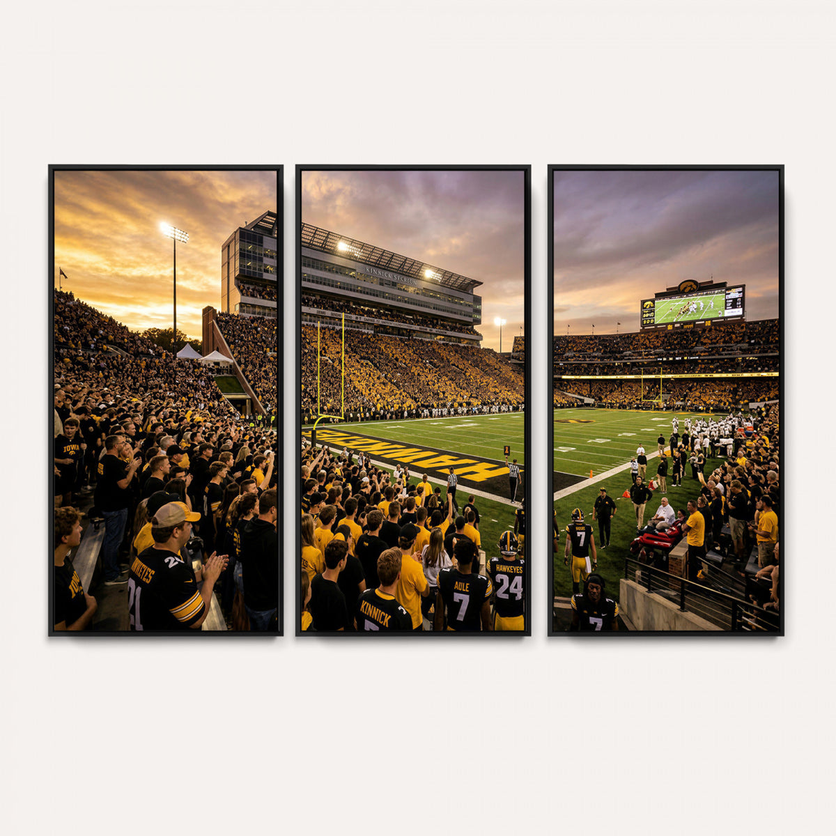 60847729-MGV-CV-36X24 - Stadium Wall Art Canvas Print