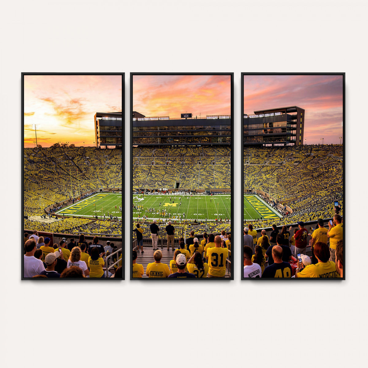 27265223-MGV-CV-36X24 - Stadium Wall Art Canvas Print