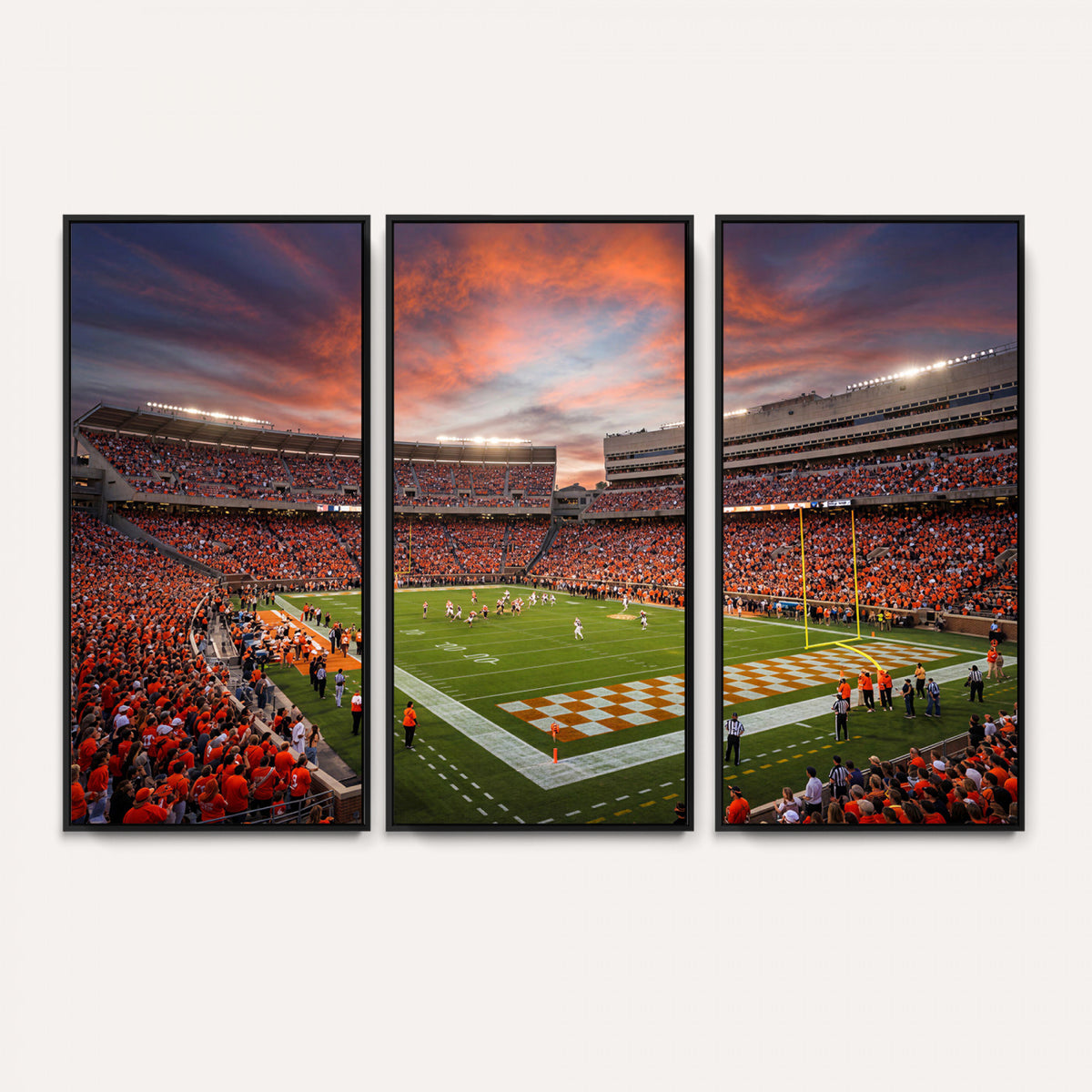 67648335-MGV-CV-36X24 - Stadium Wall Art Canvas Print