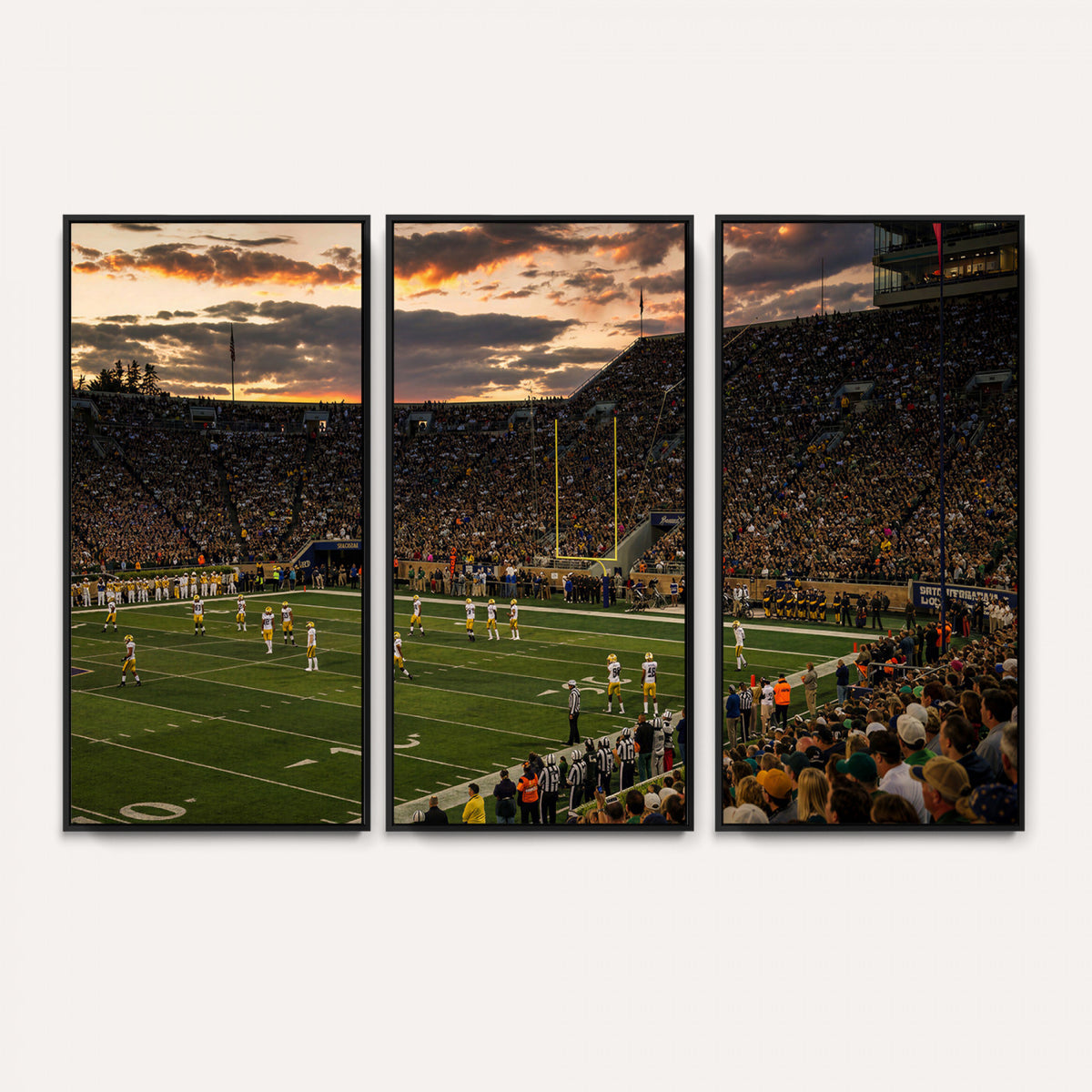 17703678-MGV-CV-36X24 - Stadium Wall Art Canvas Print