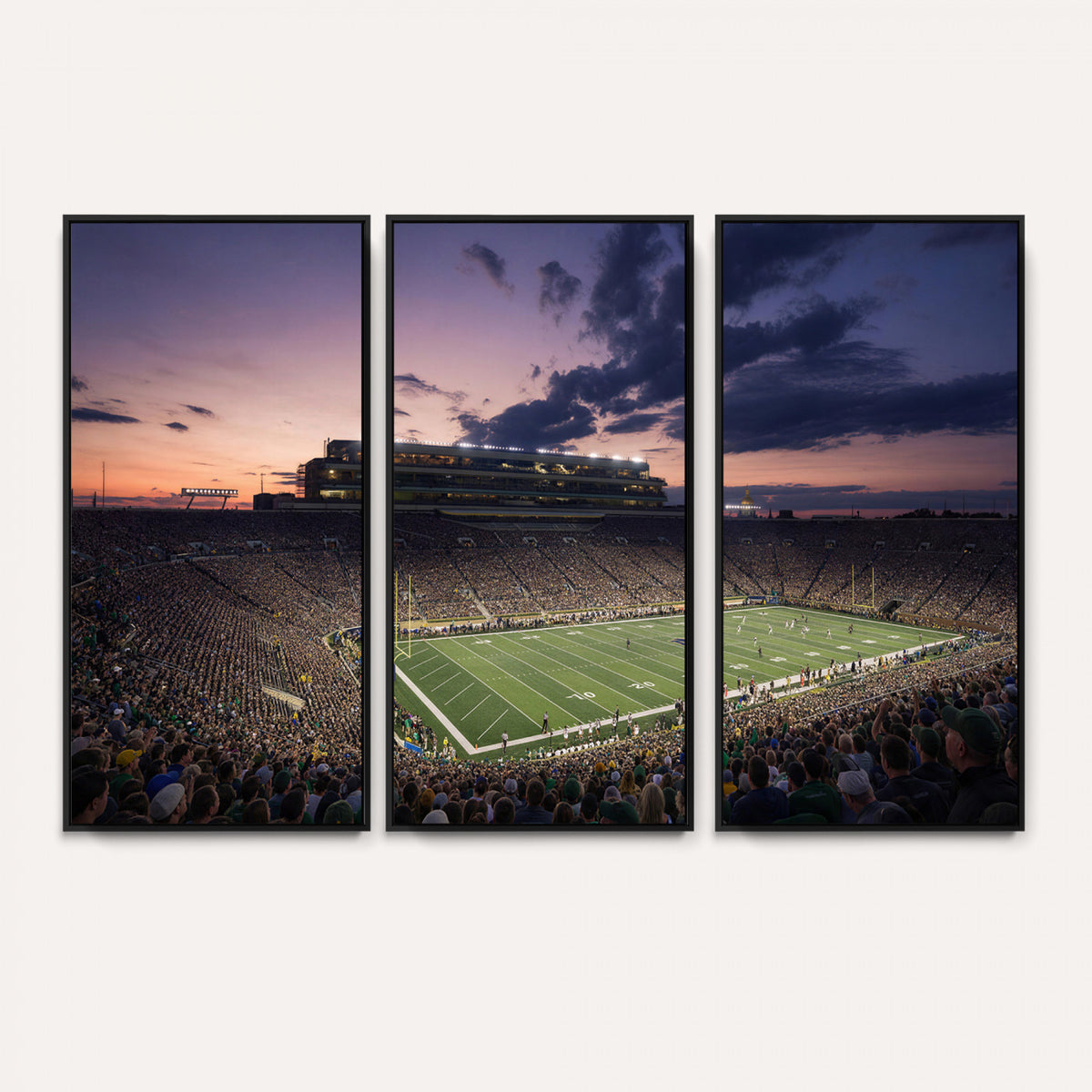 48837941-MGV-CV-36X24 - Stadium Wall Art Canvas Print