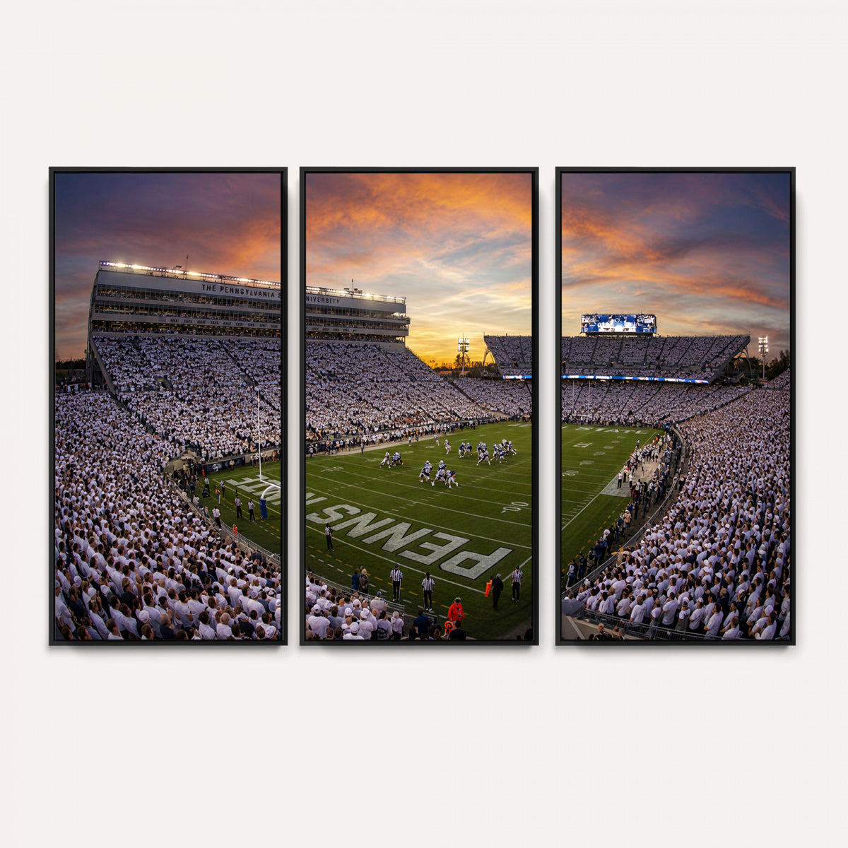 37485833-MGV-CV-36X24 - Stadium Wall Art Canvas Print