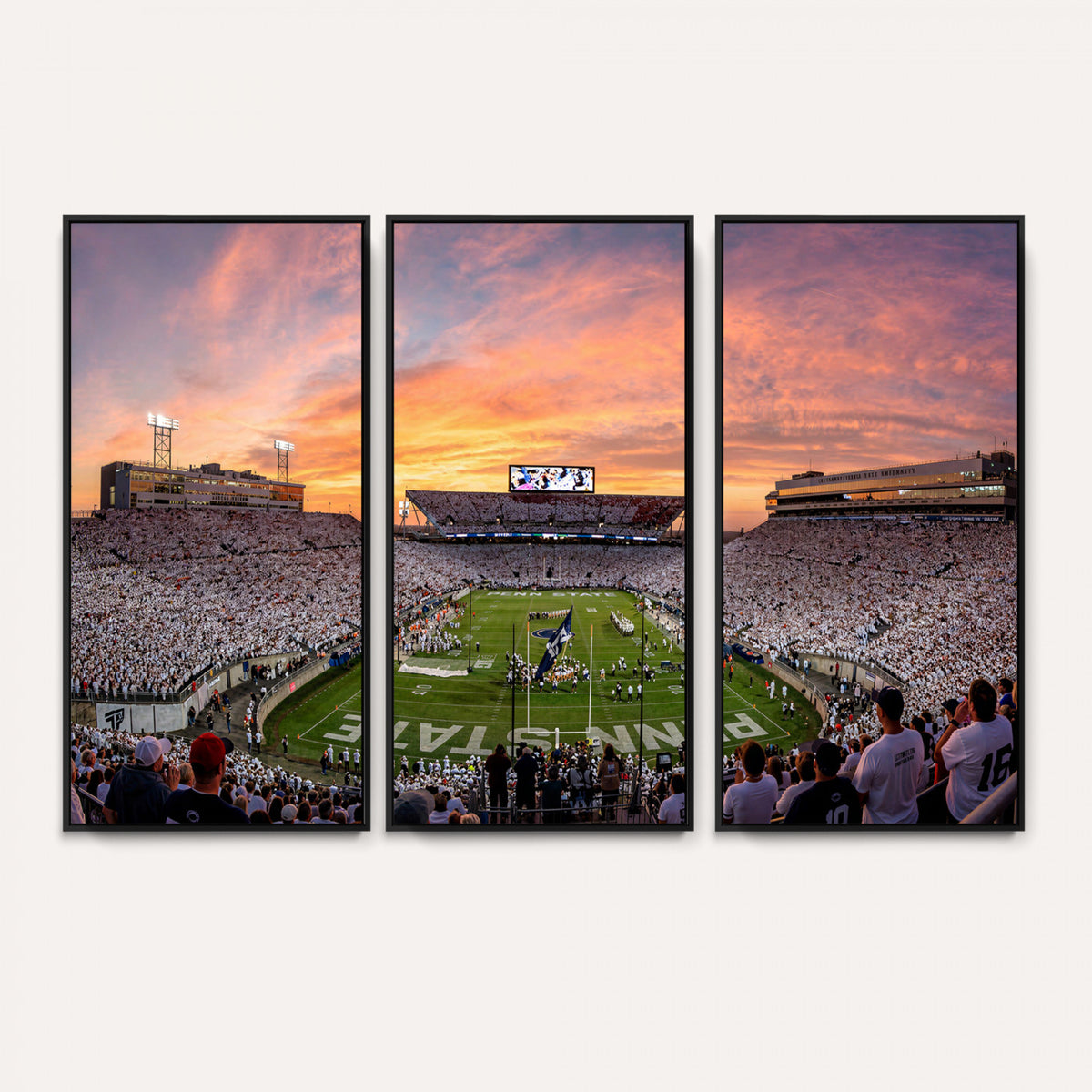 53161432-MGV-CV-36X24 - Stadium Wall Art Canvas Print